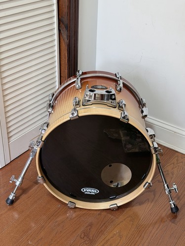 Pearl vision birch shell - shell,