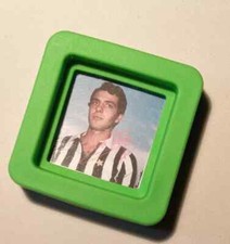 calamita riproduzione foto