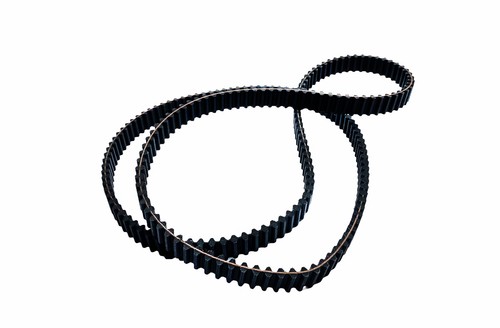 Cinghia dentata adatto - , john