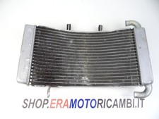 TOYO RADIATORE ACQUA