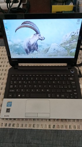 Mini toshiba satellite pro - toshiba,
