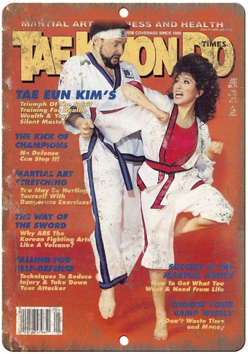 Insegna vintage taekwondo - insegna,