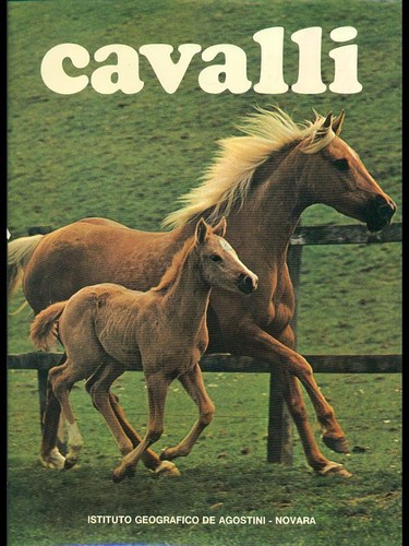 Cavalli animali vv - cavalli,