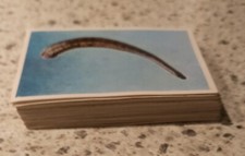 5° LOTTO 52 FIGURINE ANIMALI PANINI 1965 recupero