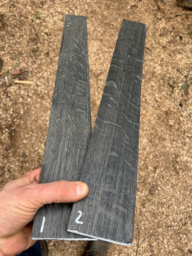Ancient bog oak - bog,