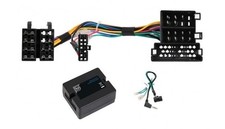 Interfaccia Comandi al Volante