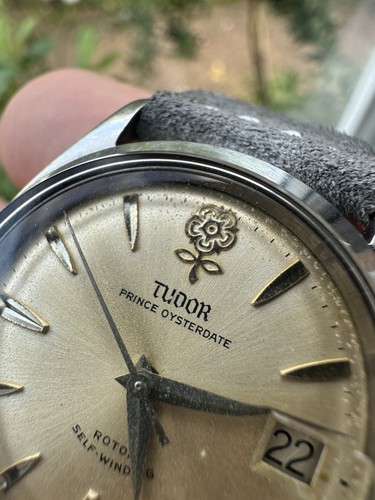 Tudor prince oysterdate - tudor,