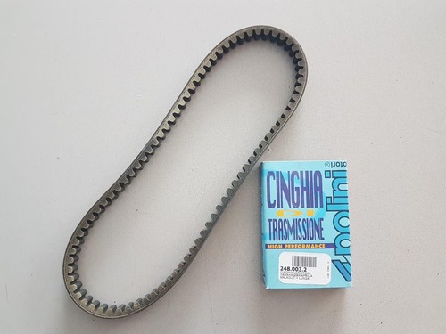 Polini evolution cinghia - 50,