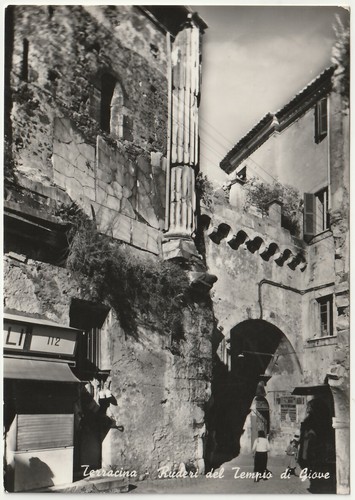 Terracina latina ruderi - terracina,