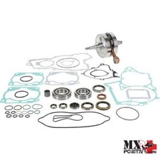 KIT REVISIONE MOTORE KTM 250