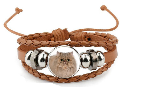 Persian cat pet brown - brown, leather