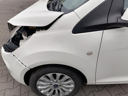 Parafango anteriore sinistro