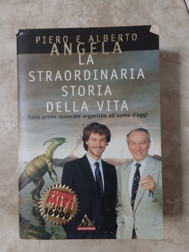 Angela la straordinaria - angela,