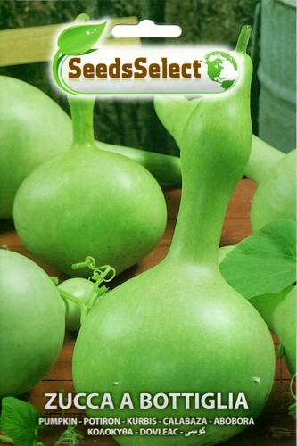 Semi seeds zucca bottiglia o - zucca, a