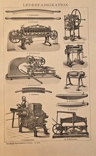 1897 Stampa Antica = PELLE