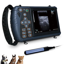 Sonda rettale macchina