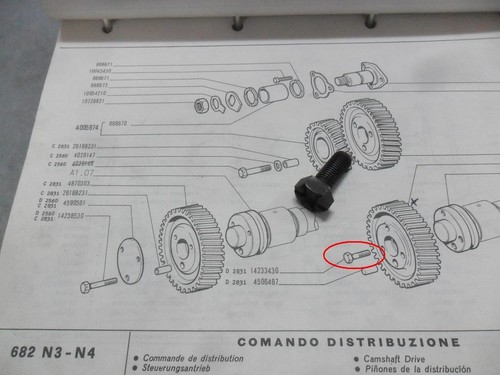 Perno fissaggio distribuzione - perno,