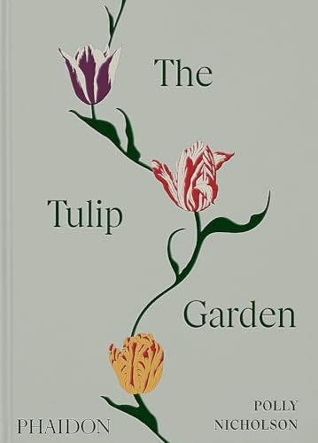 The tulip garden - tulip, garden:
