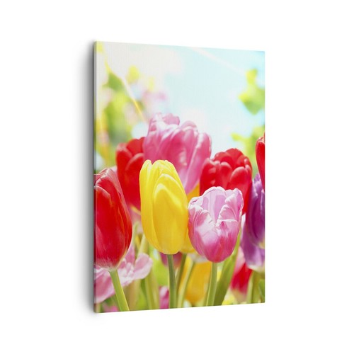 Quadro tela 50x70cm - tela,