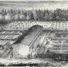 1891 FATTORIE AGRICOLTURA