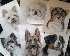 RITRATTO CANE GATTO ANIMALE