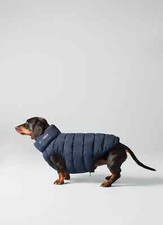 Piumino per cani blu - , navy