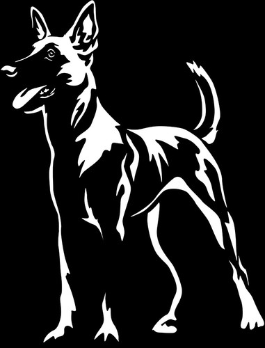 Adesivo malinois - -,