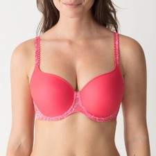Primadonna rosa selvatica - primadonna,