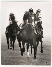 FOTO IPPICA - 1965 Newmarket