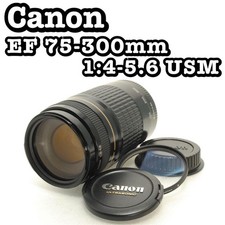 Canon EF 75 300 mm USM Canon teleobiettivo reflex digitale