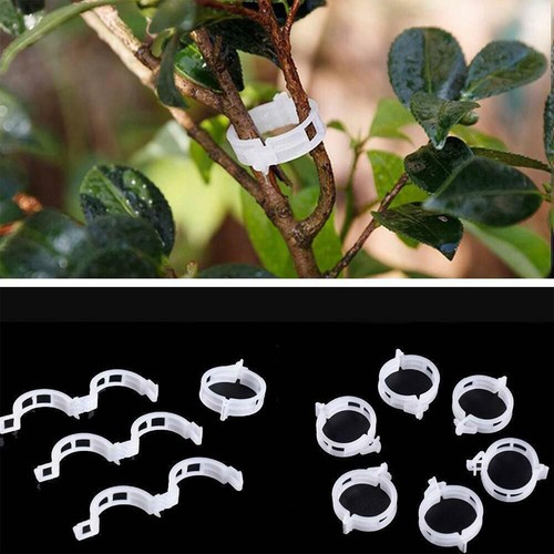 100pcs clip supporto piante - 20-100pcs,