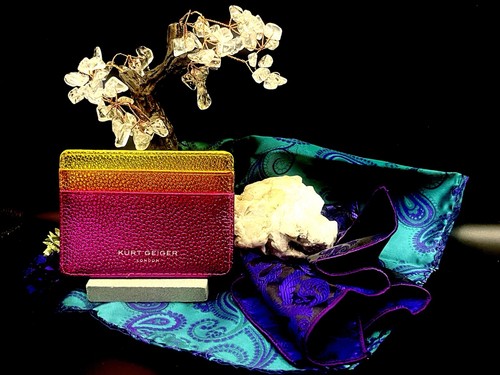 Kurt geiger london porta carte - geiger,