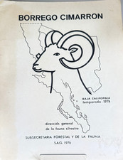 Borrego Cimarron, 1974 Baja