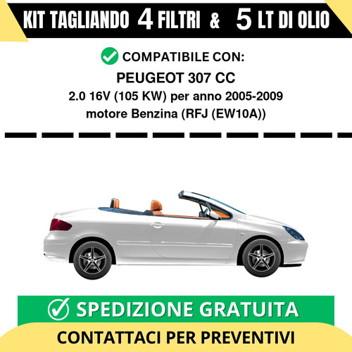 Tagliando per peugeot - peugeot, 307