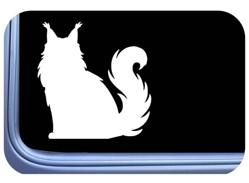 Adesivo maine coon gatto - adesivo,