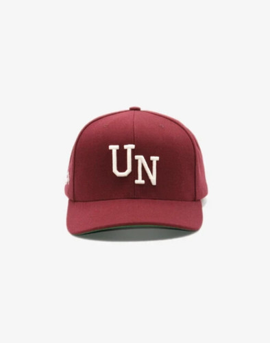 Lebron james uninterrupted - james,