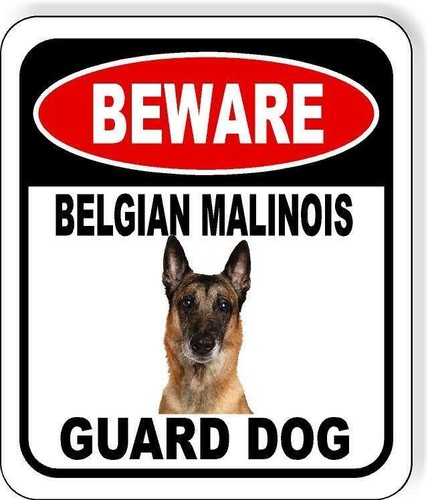 Attenzione cane guardia - attenzione,