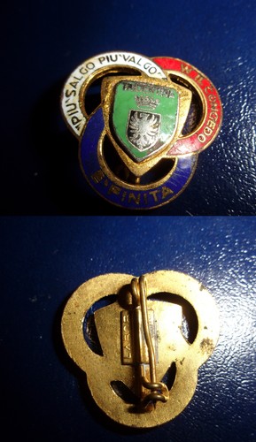 Esercito alpini distintivo - esercito,