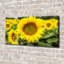 Tulup Dipinto Su Tela Pittura