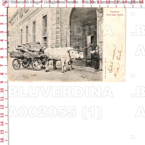 A2055 como citta teatro - a2055,