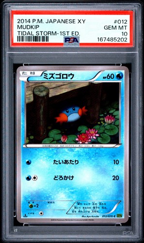 Psa mudkip 2014 - 2014, japanese