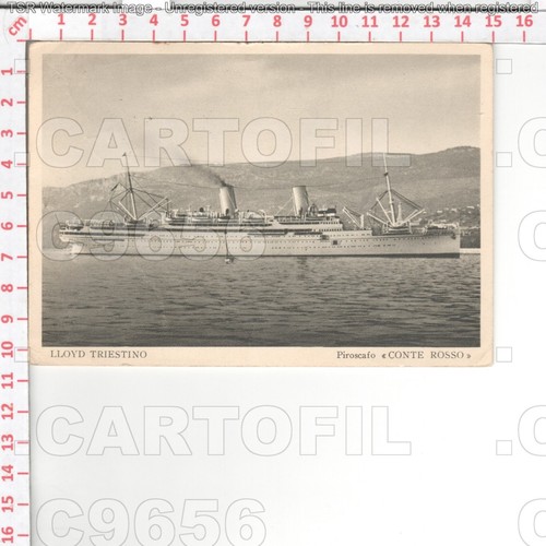 C9656 marina nave conte - marina, rosso