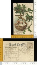 V2094] BUON NATALE - CUCCIOLI  CANE TERRIER CESTO E AGRIFOGLIO - RILIEVO 1908