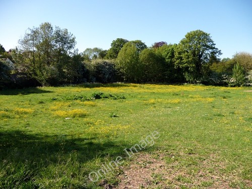 Photo 6x4 meadow - meadow,, braughing
