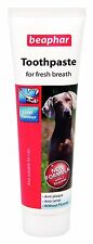 BEAPHAR Dentifricio per cani e