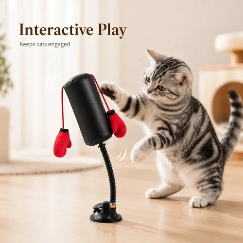 1xpaw punch cat boxe - cat,