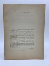 Notizie degli Scavi