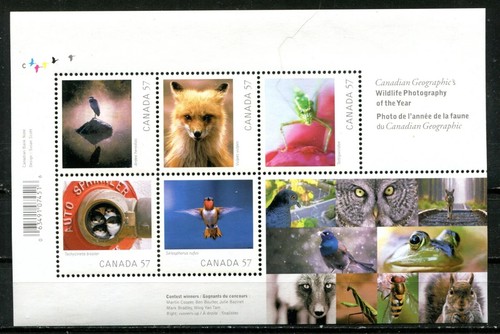 Canada 2010 wildlife - 2010,,
