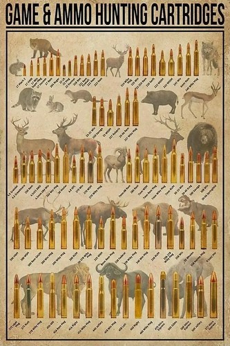 Hunting cartridges ammo types - hunting,