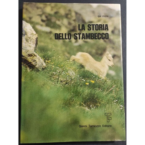 Qui inizia storia dello - la,